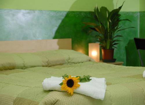 On The Rainbow B&B Roma Dış mekan fotoğraf